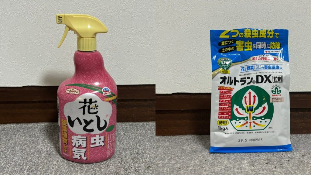 オルトラン　花いとし